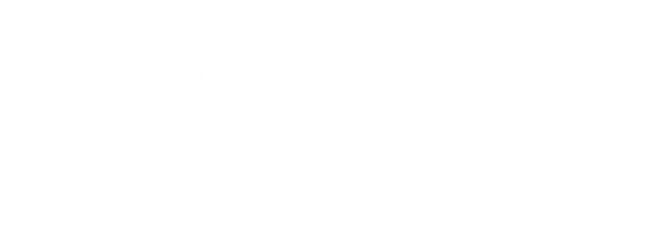 Dolphins_partner_logo